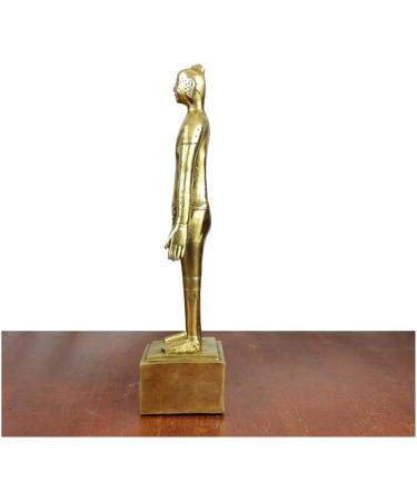 Human Acupuncture Pattern - Pure Copper Acupuncture Figurine Human Body Acupuncture Body Chinese Medicine Acupuncture for Model Studio Medical erbrist  - Buy Online on GoSupps.com