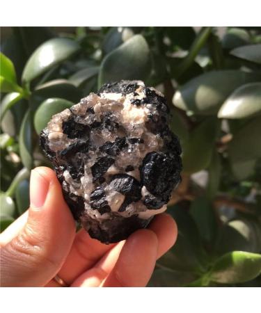 Natural Crystal Rough 1pcs Natural Black tourmarine and Crystal Specimen Reiki Healing Crystals Rough Gemstone for Home Decoration - Buy Online on GoSupps.com