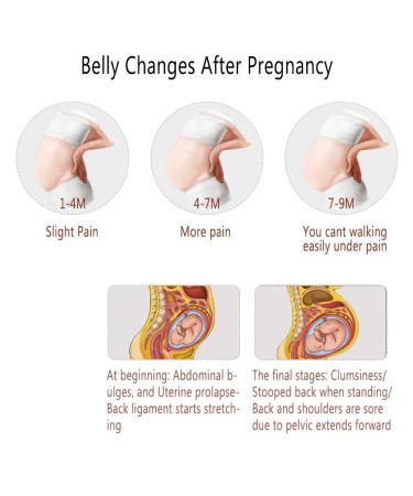 Maternity Belt & Belly Band - Breathable Abdominal Support for Pregnancy & Recovery | Adjustable Waist Brace for Lower Back & Pelvic Comfort - Buy Online on GoSupps.com