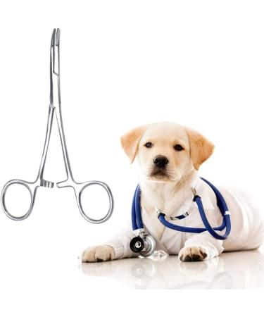 Hemostat Zonge Stainless Steel Pet Ear Cleaning Scissors - Curved Pointed Anti-Slide Tool for Dogs & Cats - Buy Online on GoSupps.com