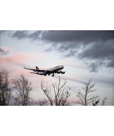 Travelsox Flight Travel Socks OTC | Patented Graduated Compression | X-Large Black - Buy Online on GoSupps.com