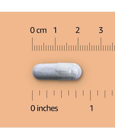 Amazon Basics Zinc Capsules 50mg 200 Count - Buy Online on GoSupps.com