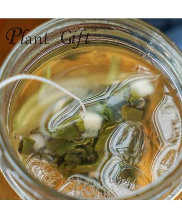 100% Honey Peach Oolong Tea Bag 175g/6.17oz (3.5g*50bags) th naturel en feuilles go t doux ar me floral frais corps de th d caf in sans sucre  - Buy Online on GoSupps.com