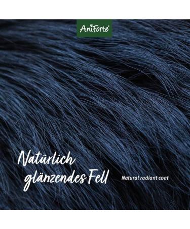 Aniforte Fellharmonie Conditioner for Dogs 200ml - Natural Coconut Oil & Aloe Vera Rinse for All Coat Types Perfume-Free International Shipping - Buy Online on GoSupps.com