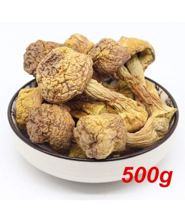 Dried Mushroom Agaricus Blazei (500 Grams) - Buy Online on GoSupps.com