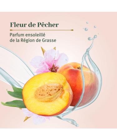  Le Petit Olivier LE PETIT OLIVIER - Pack of 12 - Pure Marseille Liquid Soap - Peach Blossom Fragrance from the Grasse Region - Gently cleanses the skin - 95% natural origin - Made in France - 300 ml - Buy Online on GoSupps.com