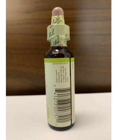 Bach Original Flower Remedies White Chestnut - Calm The Mind - Natural Homeopathic Flower Essence for Emotional Balance - Vegan Gluten Free Sugar Free - 20mL Dropper - Buy Online on GoSupps.com