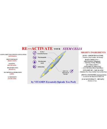 WHITESILK Vitamin E(coated) SPICULE 600 000 Shot Instant Night Shift Cream Stem cell + DUAL Matrix (Bakuchiol (5%) + Volufiline solutions) (30ml 1oz) - Buy Online on GoSupps.com