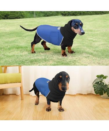 Dachshund Raincoat - Waterproof Winter Clothes for Miniature Dachshund XS Blue - Buy Online on GoSupps.com