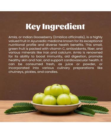 Amla Powder (300 gm) - Buy Online on GoSupps.com