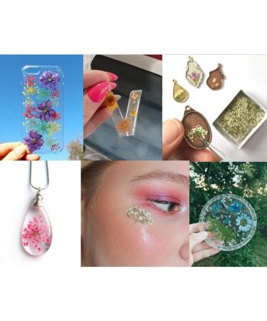 Colorful Resin Dried Flower Nail Art Kit - 60 Pcs 3D Mini Flowers for Nail Accessories, Starry Decals, 12 Colors - 2.8 x 0.75 0.67 inches - Buy Online on GoSupps.com