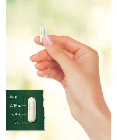 Tahoe Nutritionals Kelp Supplement Capsules | 1000mg | 180 Count | Non-GMO & Gluten Free Extract - Buy Online on GoSupps.com