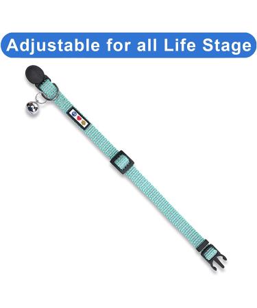 Pawtitas Reflective Cat Collar | Safety Buckle & Bell | Personalized & Customizable | Teal - Buy Online on GoSupps.com
