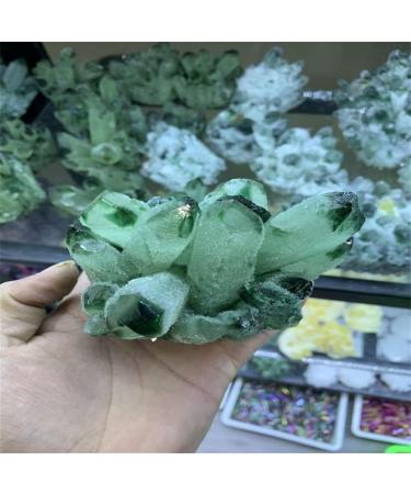Natural Crystal Rough 300-800g Natural Green Ghost Phantom Quartz Crystal Cluster Rock Stones and Crystals Home Decor NaturalReiki Decoration (Size : 320-400g) - Buy Online on GoSupps.com