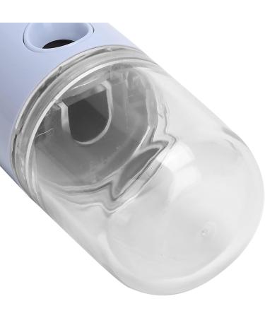 Saluaqui Handheld Face Mist Sprayer Rechargeable Moisturizing Nano Facial Mister Hydrating Face Humidifier Handy Hydrating Sprayer with Visual Water Tank (Light Purple) - Buy Online on GoSupps.com