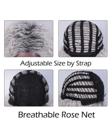 HBINGBING Synthetic Short Grey Wig for Women | Afro Kinky Curly & Brown Wigs | High Temperature Fiber - Buy Online on GoSupps.com