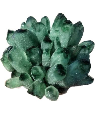 Home 300g-700g Natural Green Ghost Phantom Quartz Crystal Cluster Specimen Home Decoration Crystal Ornament Home Goods (Size : 500-g600g) - Buy Online on GoSupps.com