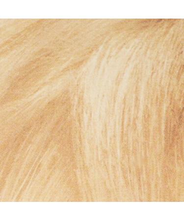 L'Oreal Paris Super Blonde Creme Lightening Kit - 200 Bleach Blonde - Buy Online on GoSupps.com
