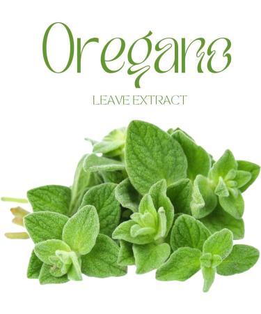 Candida Support Supplement - Wormwood for Candida Oregano Oil Capsules Organic Natural Gut Support Support Healthy Digestive and Intestinal - 2 Bottles 120 Capsules - Buy Online on GoSupps.com
