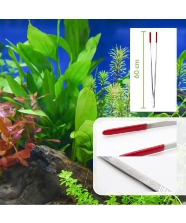 Terra Exotica Food Tweezers (60 cm) - Rubberized Feeding Aid for Reptiles & Amphibians | Stainless Steel | Starting at 3.49 - International Shipping - Buy Online on GoSupps.com