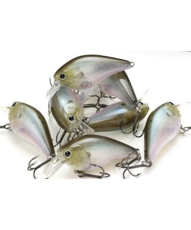 Lucky Craft Fishing Lure LC 1.5 Silent Crankbait 238 Ghost Minnow - One Size - Buy Online on GoSupps.com