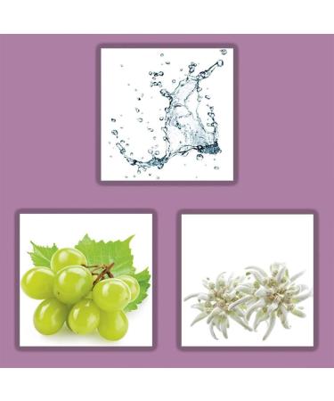 Tal Care Anti-Aging Hand Mask with Vitamin C & Grape Seed Oil Intensive Moisturizing Glove Treatment for Dry Hands | Prevent Skin Aging - Buy Online on GoSupps.com