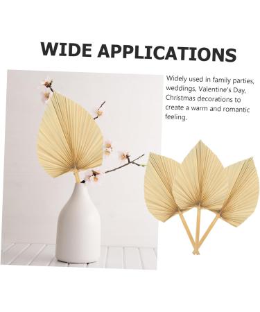 Zerodeko 15 Pcs Art Wall Hanging Decoration Dried Palm Spear African Hand Fan Trimmed Dried Palm Leaves Tropical Palm Flowers Hawaiian Palm Leaves Faux Plant Cocktail Cattail Fan Palm Leaf As Shownx5pcs 34.5X16X1CMx5pcs - Buy Online on GoSupps.com