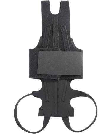 Back Brace for Dogs Helps Dogs with Spinal Problems Rehabilitation Helps Spinal Problem Recovery and Rehabilitation S//L Size Dtt Black Small - Buy Online on GoSupps.com