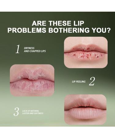 Moisturizing Tallow Lip Care Balm Grass-Fed Beef Tallow Lip Balm with Honey Shea Butter & Squalane Natural Lip Care for Dry Chapped Lips 3Pack - Buy Online on GoSupps.com