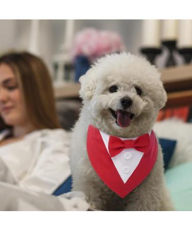 Maustlie Dogs Smoking Bandana - Adjustable Triangle Scarf for Weddings & Parties | Red M Size - Buy Online on GoSupps.com