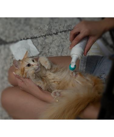 HiPet Paw Cleaner Foam for Dogs and Cats - 150 mL Effortless Dog and Cat Paw Moisturizer - Buy Online on GoSupps.com