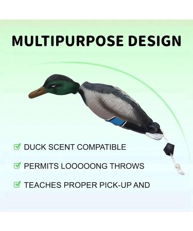 MR.HOKWY Dog Training Duck Dummy- EVA Material Trainer with Throwing Toggle Dog Retrieval Training Toys Bird Dummy Mallard Mimics Duck Bumper Toy for Puppies or Adult Hunting Dogs - Buy Online on GoSupps.com