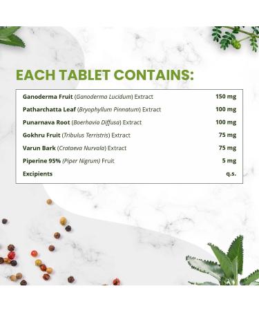 Buy Organics Kidney Detox - Gokhru Punarnava & Natural Diuretic Supplement | 100% Natural Extracts - 60 Tablets - Buy Online on GoSupps.com