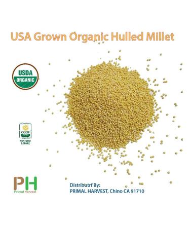 USA Grown Organic Millet Whole Grain Seeds - Non-GMO Hulled Bulk Raw - 5LB Pack - 5 Pound - Buy Online on GoSupps.com