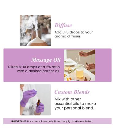 Handcraft Blends Lightweight Relax Set: Grapeseed Oil (16 Fl Oz) and Lavender Essential Oil (4 Fl Oz) 100% Pure & Natural for Gentle Massage and Sensitive Skin - Buy Online on GoSupps.com