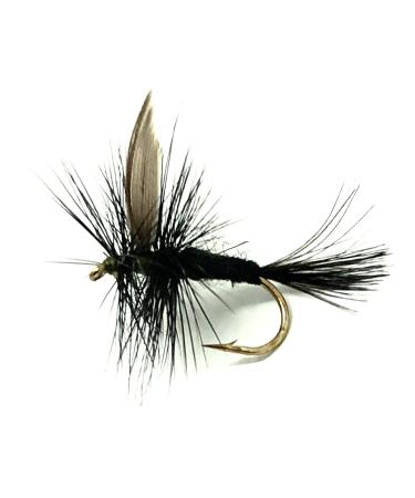 Feeder Creek Black Gnat Dry Flies, One Dozen Nymph Flies for Trout, Bass, Salmon and More Freshwater Fish, Different 12