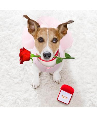Luxury XL Pink Dog Wedding Dress - Princess Skirt for Dogs - Evening & Summer Dresses - Bowknot Design - Perfect Puppy Fashion - Buy Online on GoSupps.com