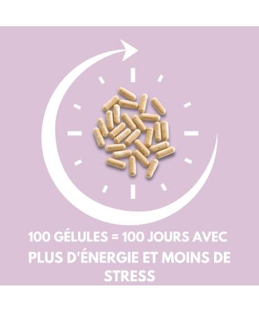 Energy Formula - Ashwagandha Capsules - 100 capsules - 25000mg - Extrait de racine de Withania somnifera L. + vitamines B pour l' nergie le stress l'humeur et la m moire. - Buy Online on GoSupps.com