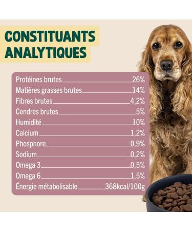 Franklin Sterilized Dog Food Balance Range with 50% Beef Grain-free kibble Size 13 mm 12 kg - Buy Online on GoSupps.com