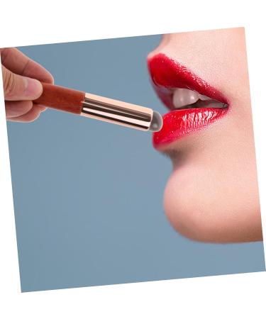Silicone Lip Brush Lipstick Makeup Tool Lip Brush for Women Lip Gloss Brush Makeup Brush Concealer Brush Lip Applicator for Lip Balm Lip Applicator for Lip Gloss Lip Wands Plastic Didiseaon - Buy Online on GoSupps.com
