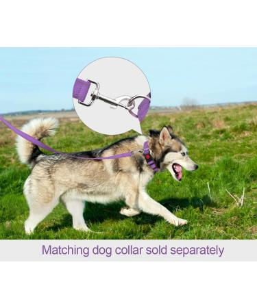 Taglory Reflective Dog Leash for Medium & Large Dogs | Padded Handle Supports 10-75 kg | 1.8m x 2.5cm | Purple | Ideal for Comfortable Walking - Buy Online on GoSupps.com