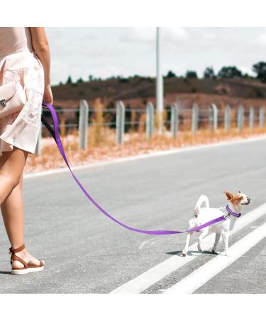 Tagme Personalized Dog Collar for Small Dogs - Embroidered Reflective Nylon with Pet Name & Phone Number - Purple XS (1 Pack) - Buy Online on GoSupps.com