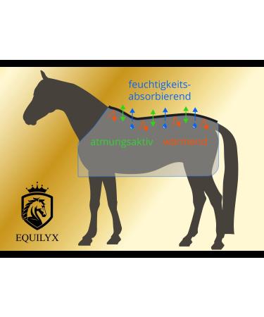 Buy Equilyx Sweat Ceiling Horse Blanket - Perfect Fit Fleece-Lined Moisture Absorbing & Breathable (Black 135) for Ultimate Comfort and Warmth - Buy Online on GoSupps.com