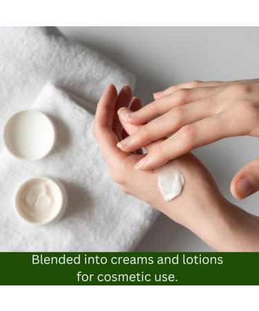 mGanna Pure Natural Gotu Kola Powder Centella Asiatica Herbal Supplement for Skin Hair & Health No Additives No Preservatives 0.5 lbs / 227g - Buy Online on GoSupps.com