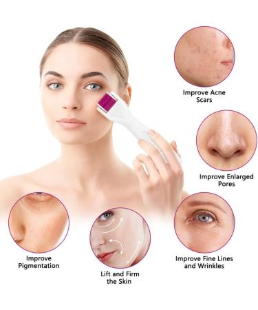 LOPHE 6 in 1 Derma Roller Kit Professional Microneedling Titanium Roller with Disassemble Working Heads 6 in 1 Kit - Buy Online on GoSupps.com