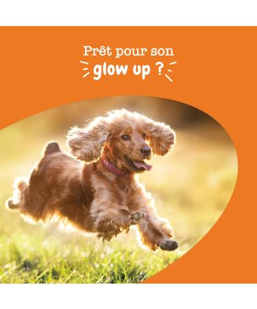 Zesty Paws Skin & Coat Health for Dogs | Supports Healthy Skin & Shiny Coat | Gourmet Bite-Size Dog Food | Supplements | Fish Oil - 90 Count - Buy Online on GoSupps.com