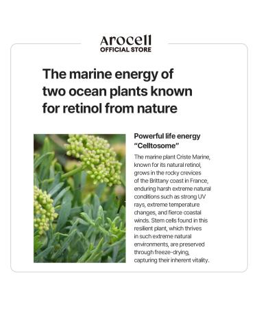 AROCELL Botulcare Graphene Masks - 5 Microcurrent Facial Sheets for Hydration Elasticity & Pore Minimizing | Korean Skincare - Buy Online on GoSupps.com