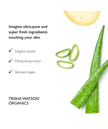 Planted Superfood Moisture - All-Natural Face & Skin Moisturizer with Aloe Shea Butter & Jojoba | 2 oz | International Shipping Available - Buy Online on GoSupps.com