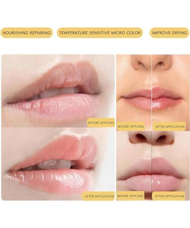 Sea & Moon Lip balm Set | Lip Balm Variety 8 Pack | 8 Flavours Original Honey Avocado Rose Sakura Honey-Peach Lemon & Strawberry 7g Each | Lip Balm Gift Set - Buy Online on GoSupps.com