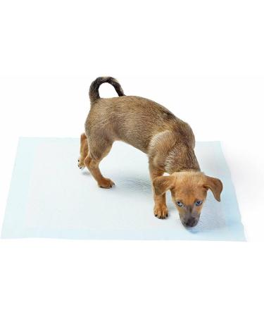 Wave Disposable Underpads 23'' X 36'' (30 Count) Incontinence Pads 68g Each Chux Bed Covers Puppy Training | Super Absorbent Protection for Kids Adults Elderly | Liquid Urine Made in The USA 23" x 36" ( 30 count ) - Buy Online on GoSupps.com